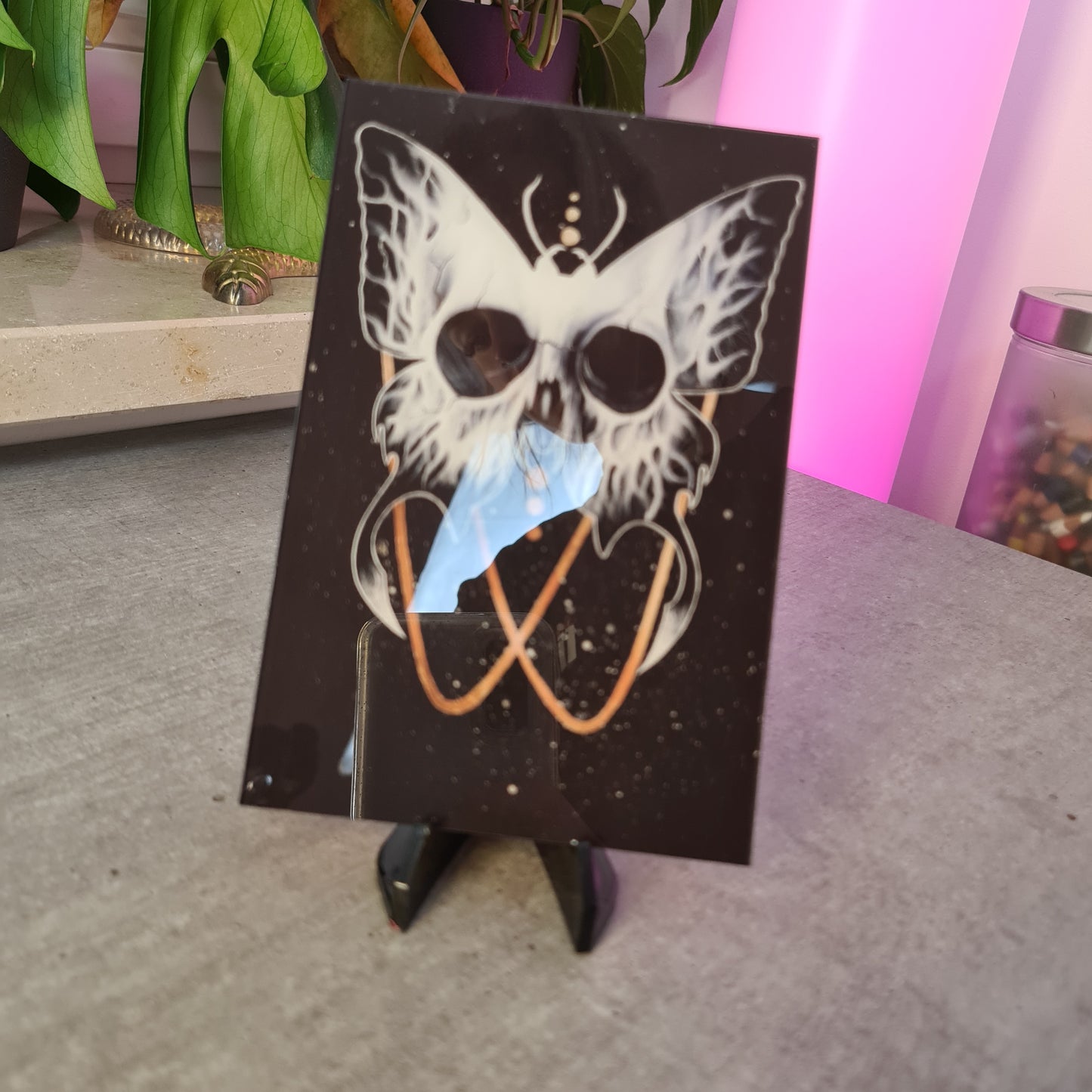 Skullbutterfly 3.0 acrylic glass print
