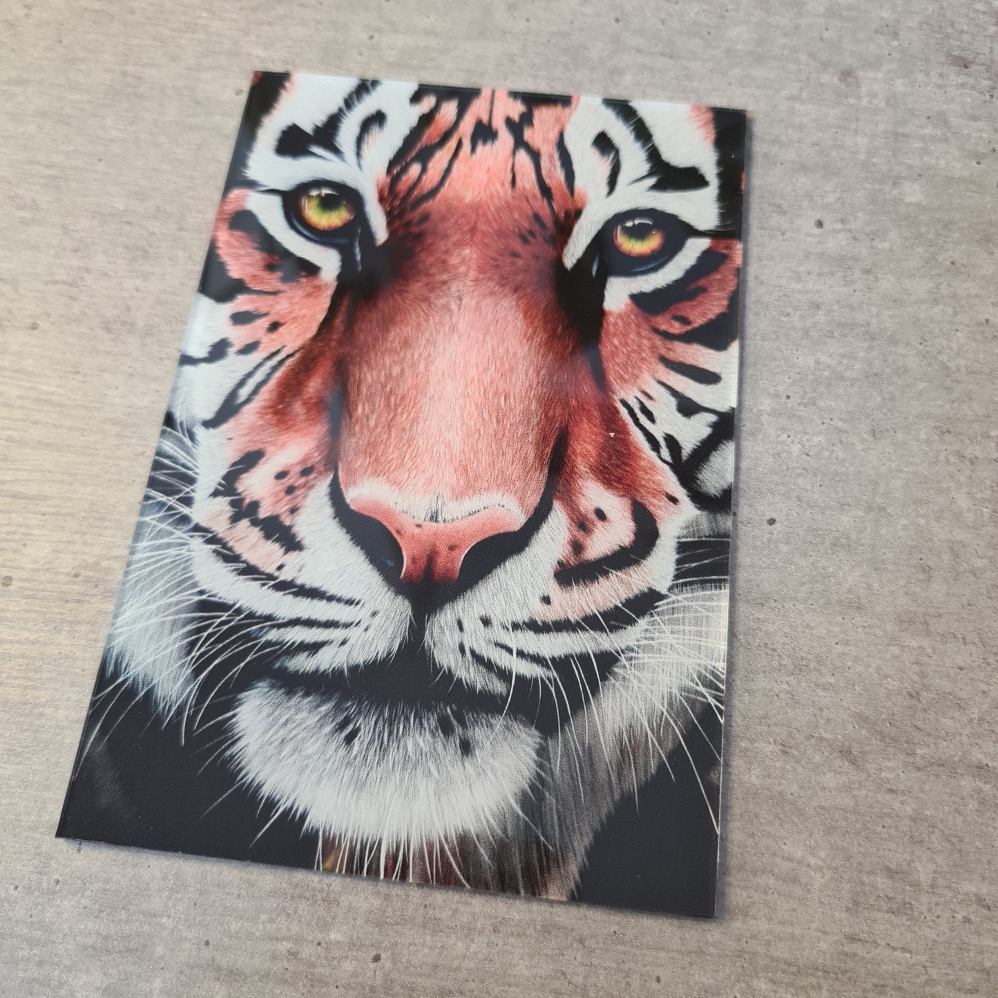 Tiger acrylic glass print