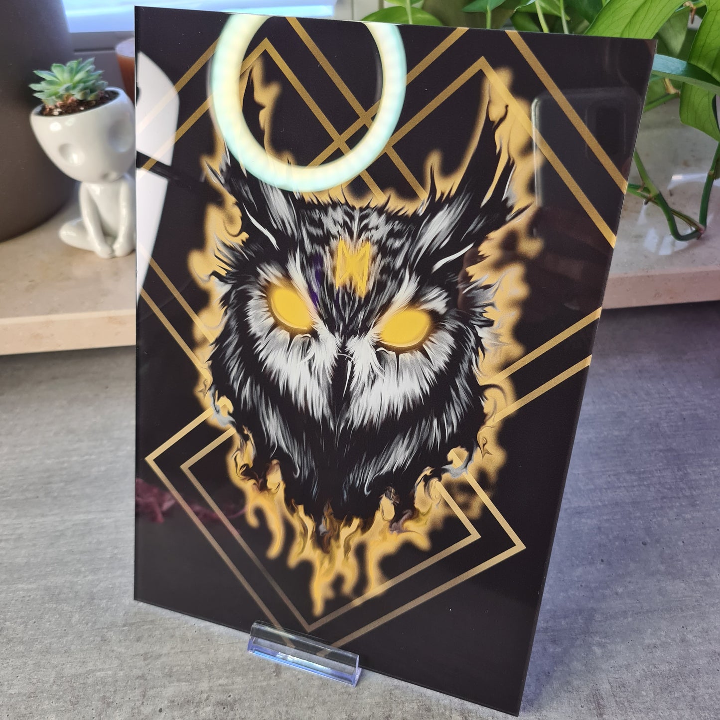 Owl Acrylglas