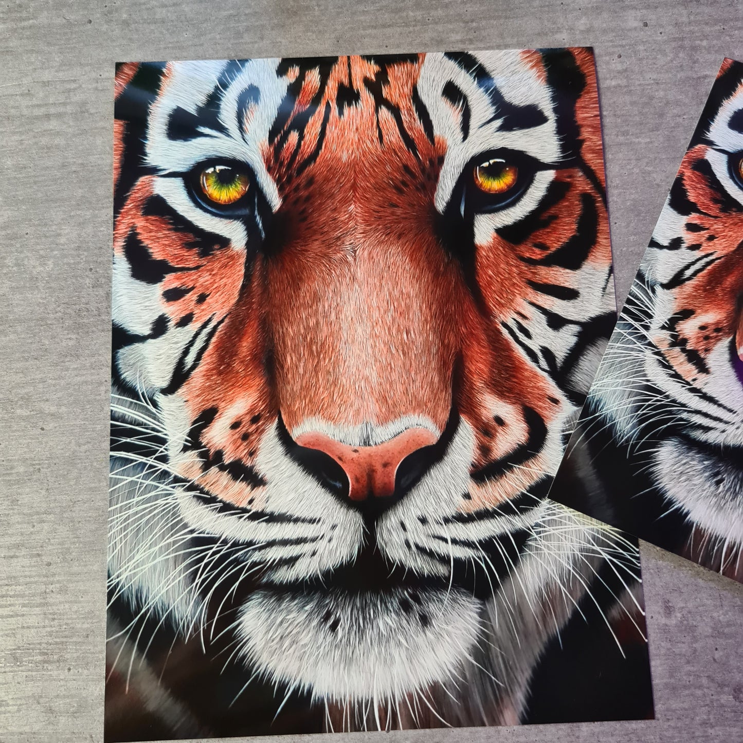 Tiger Print