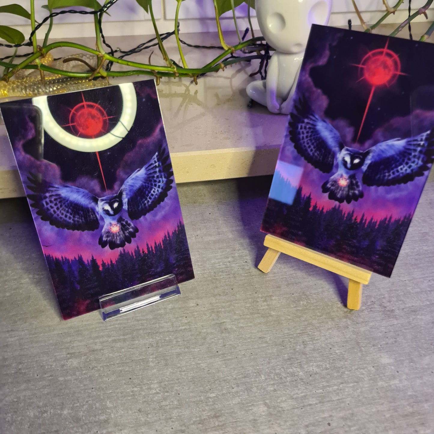Mystic Owl Acrylic Glass