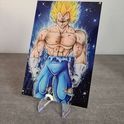 Vegeta Acrylglas