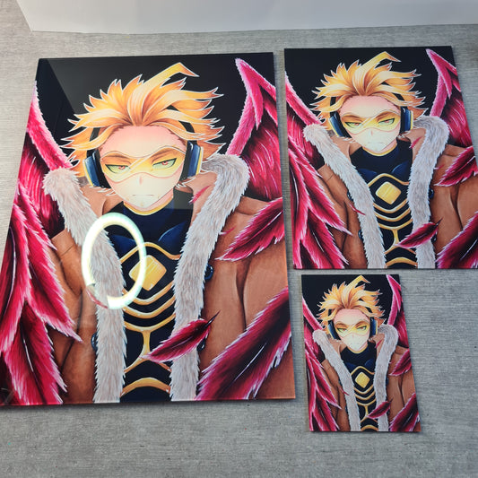 Hawks acrylic glass print