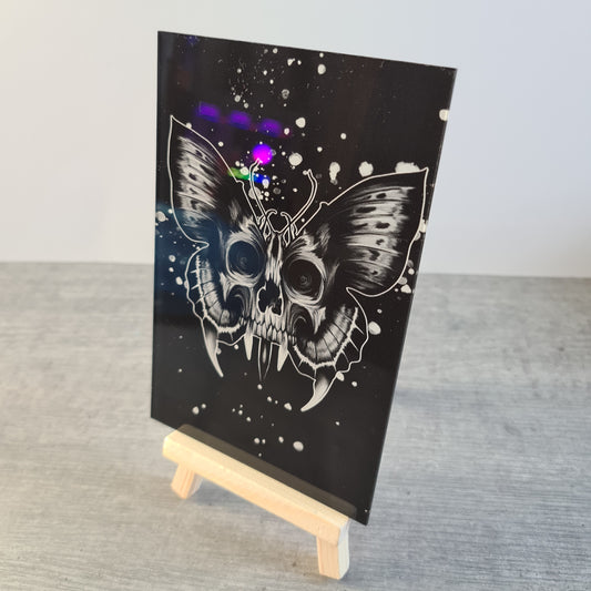 Skull Butterfly acrylic glass print