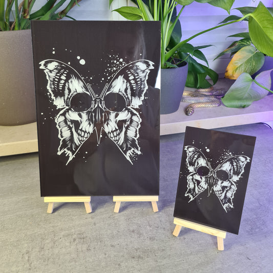 Skullbutterfly Acrylglas