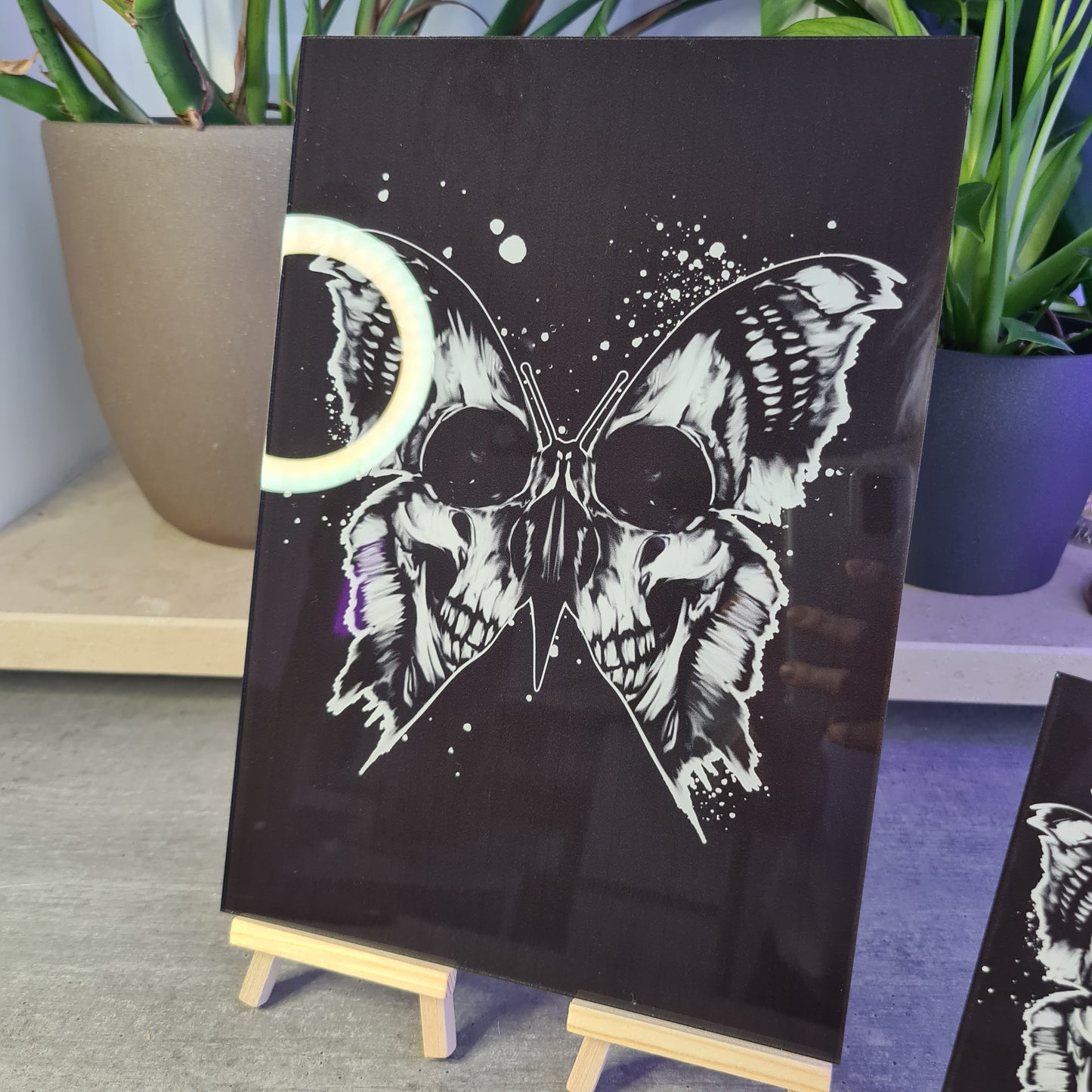 Skullbutterfly acrylic glass print