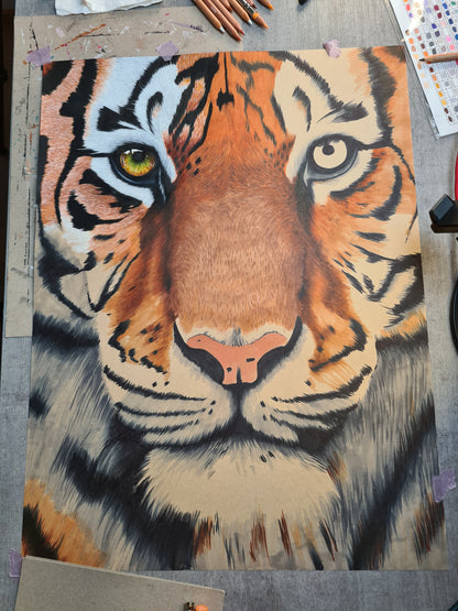 Originale Zeichnung "Tiger"