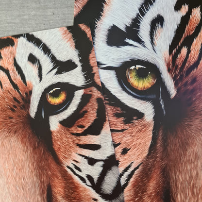 Tiger Poster