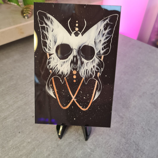 Skullbutterfly 3.0 acrylic glass print