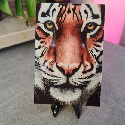 Tiger Acrylglas