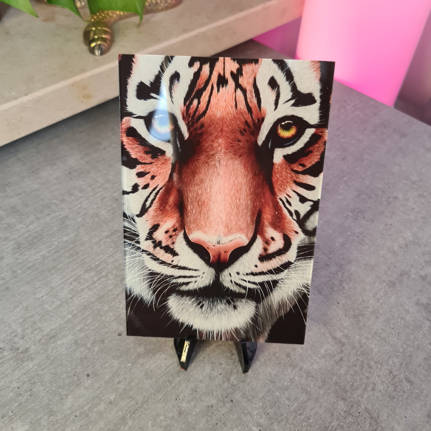 Tiger Acrylglas