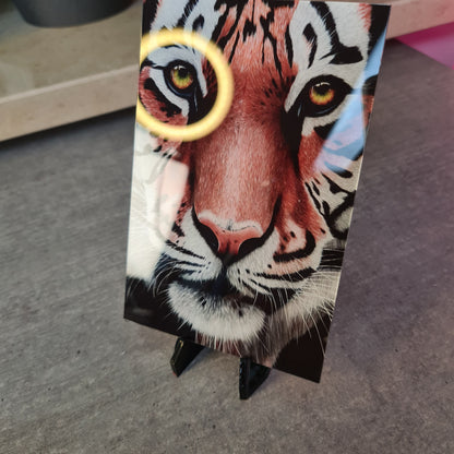 Tiger Acrylglas