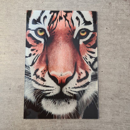 Tiger Acrylglas