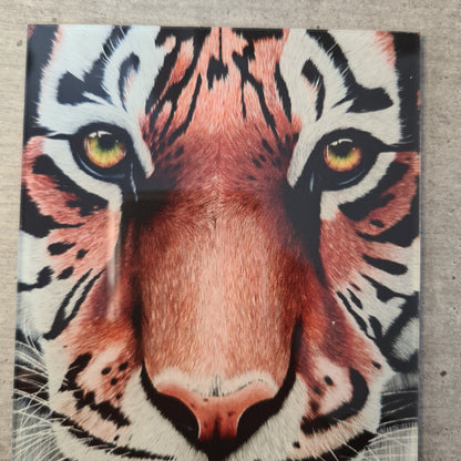 Tiger Acrylglas