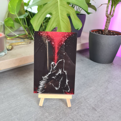 Wolf Acrylglas