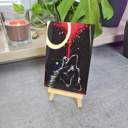 Wolf Acrylglas