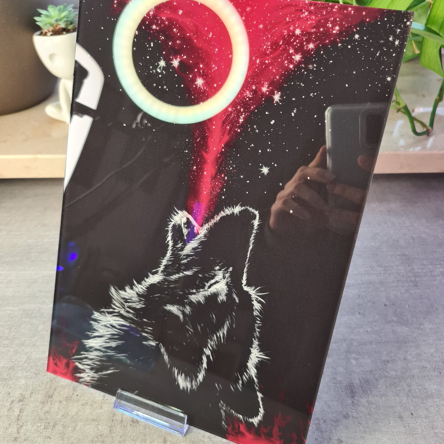 Wolf Acrylglas