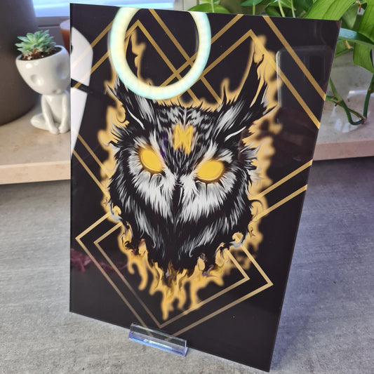 Owl Acrylic Glass