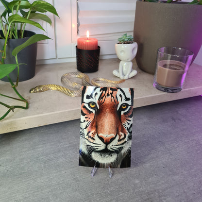 Tiger Print