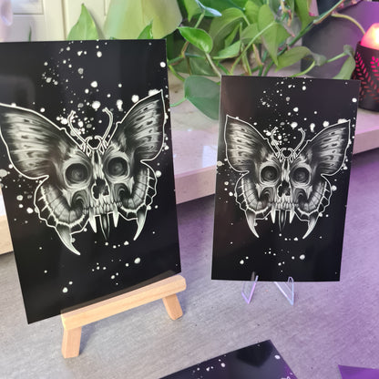 Skull-butterfly Poster