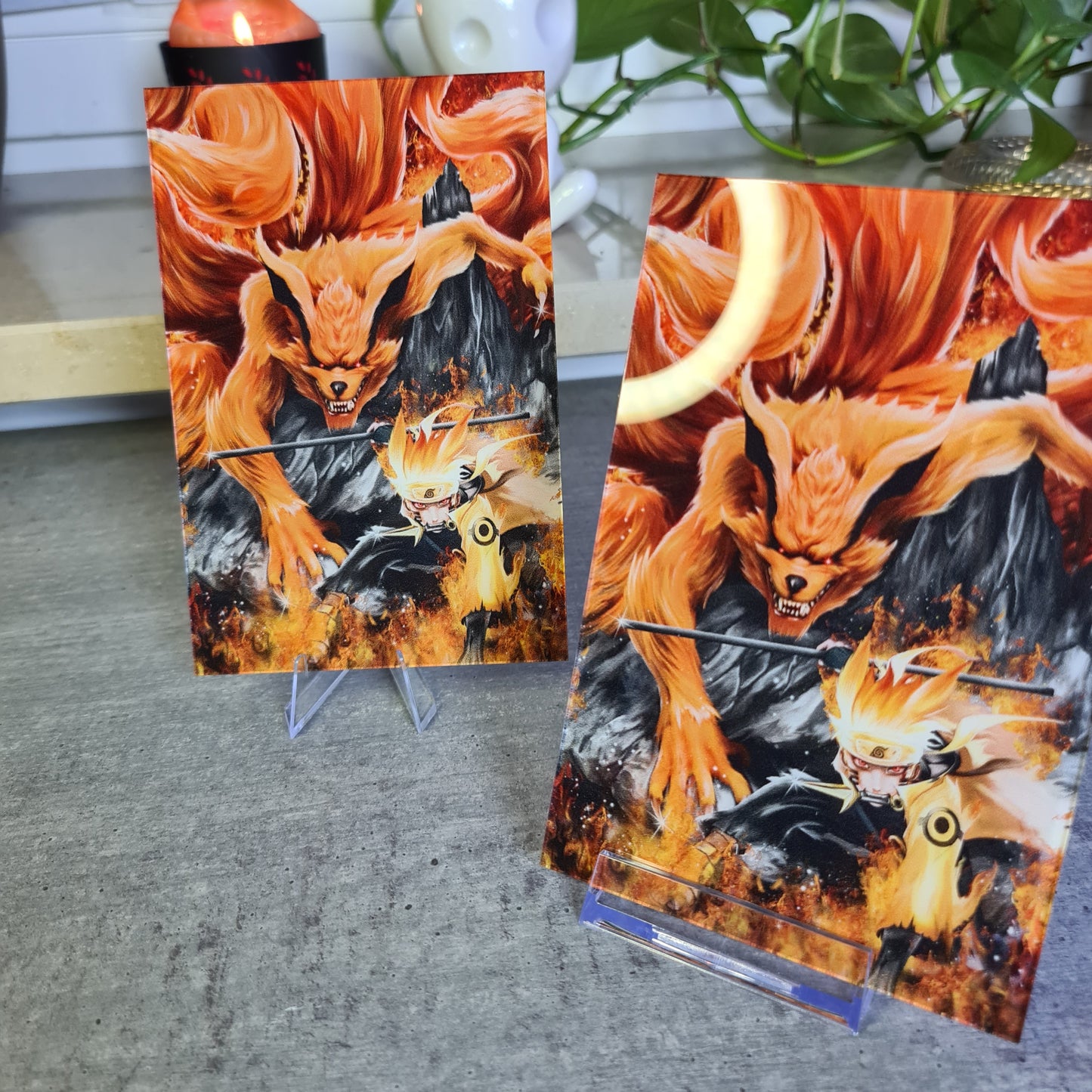 Ninja Acrylglas