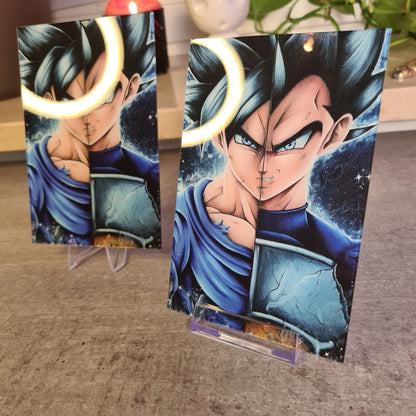 Saiyajin  Acrylglas
