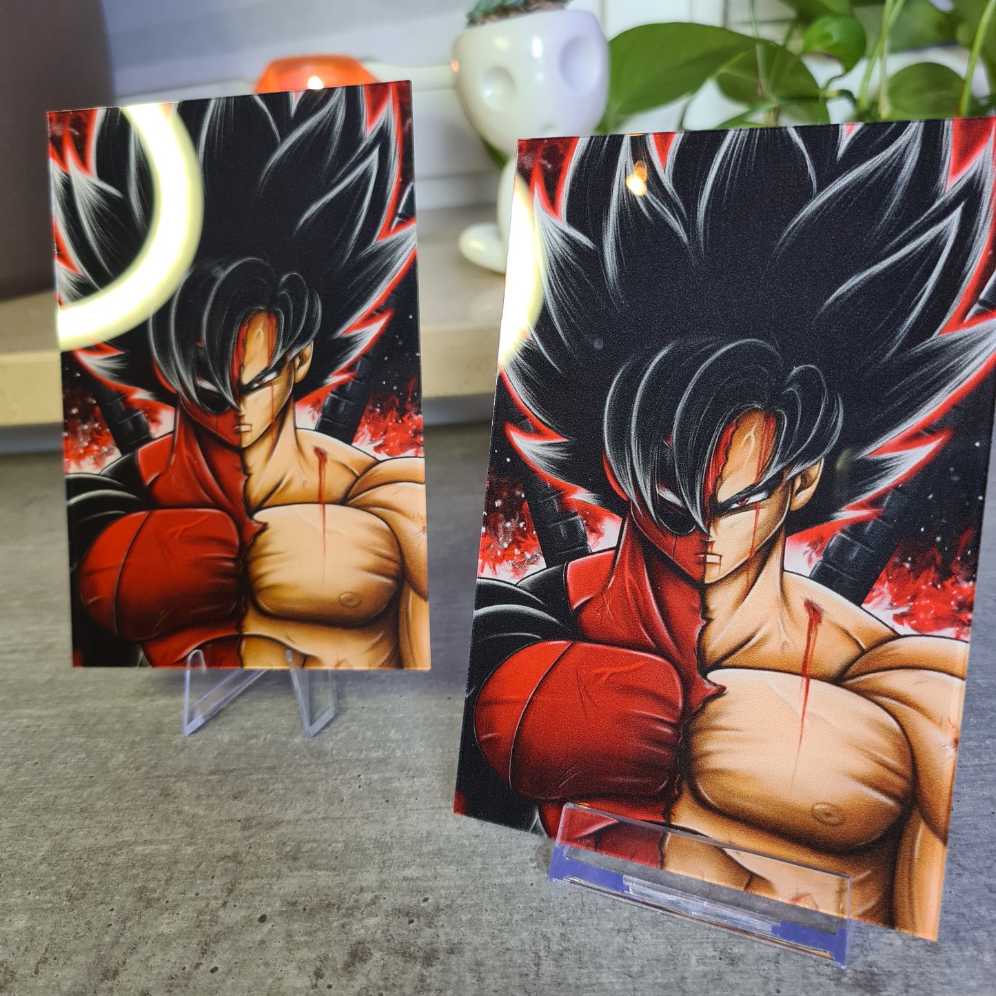 Gokupool Acrylglas