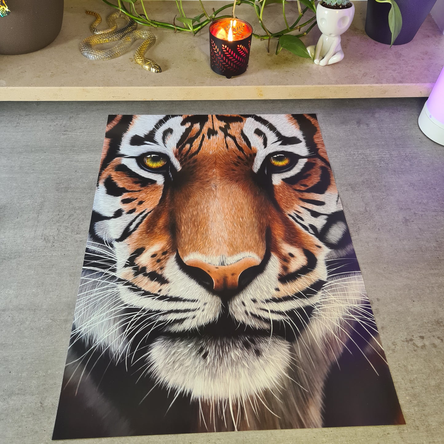 XXL Tiger Print