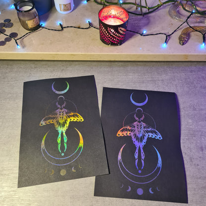 Motte Black HOLO-Poster