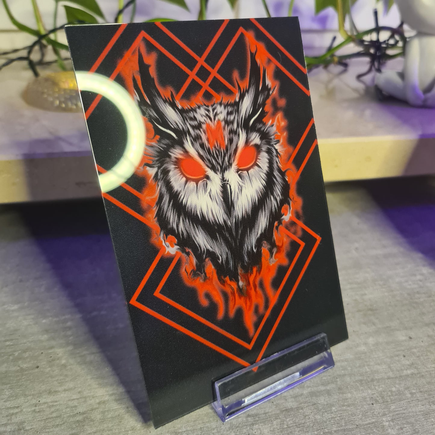 Owl Acrylglas