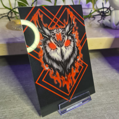 Owl Acrylglas