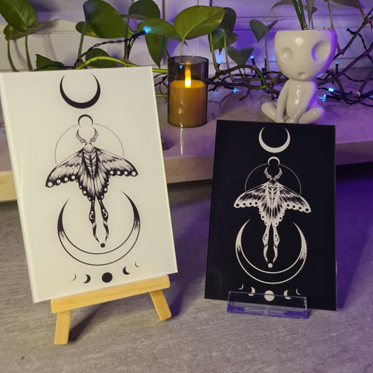 Moth Acrylic Glass