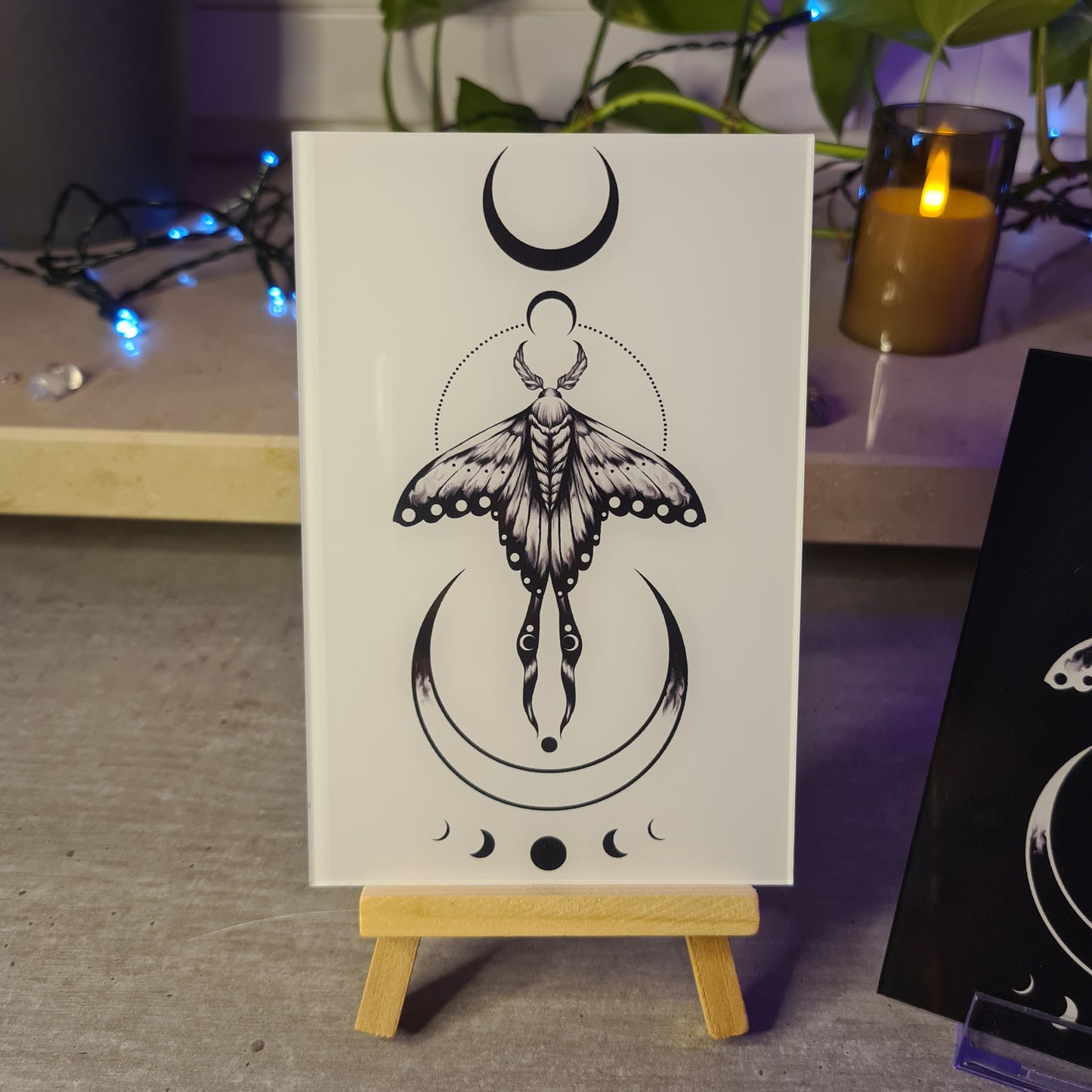 Moth Acrylic Glass