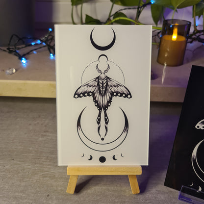 Moth Acrylic Glass