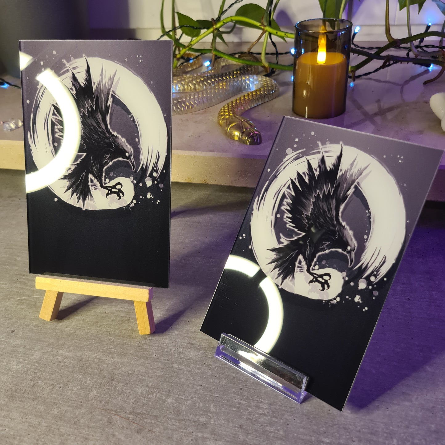 Crow Acrylic Glass