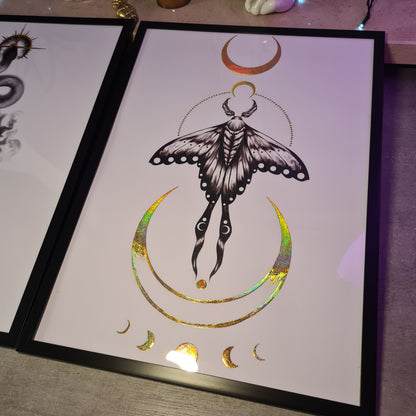 Motte & Sanke HOLO-Poster-SET (Bware)
