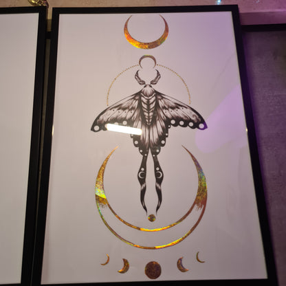 Motte & Sanke HOLO-Poster-SET (Bware)