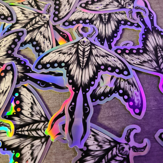 Moth hologram sticker