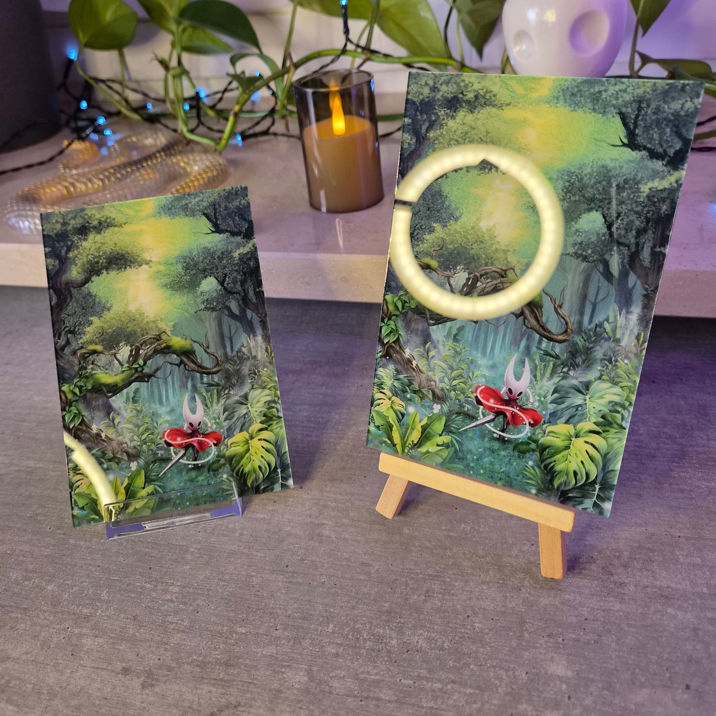 Jungel Hornisse Acrylglas