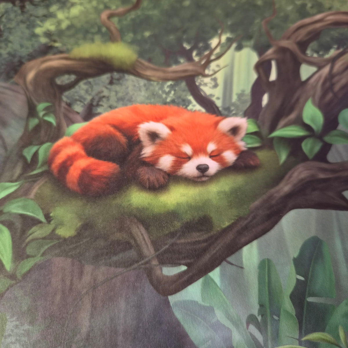 Red panda XXL Print